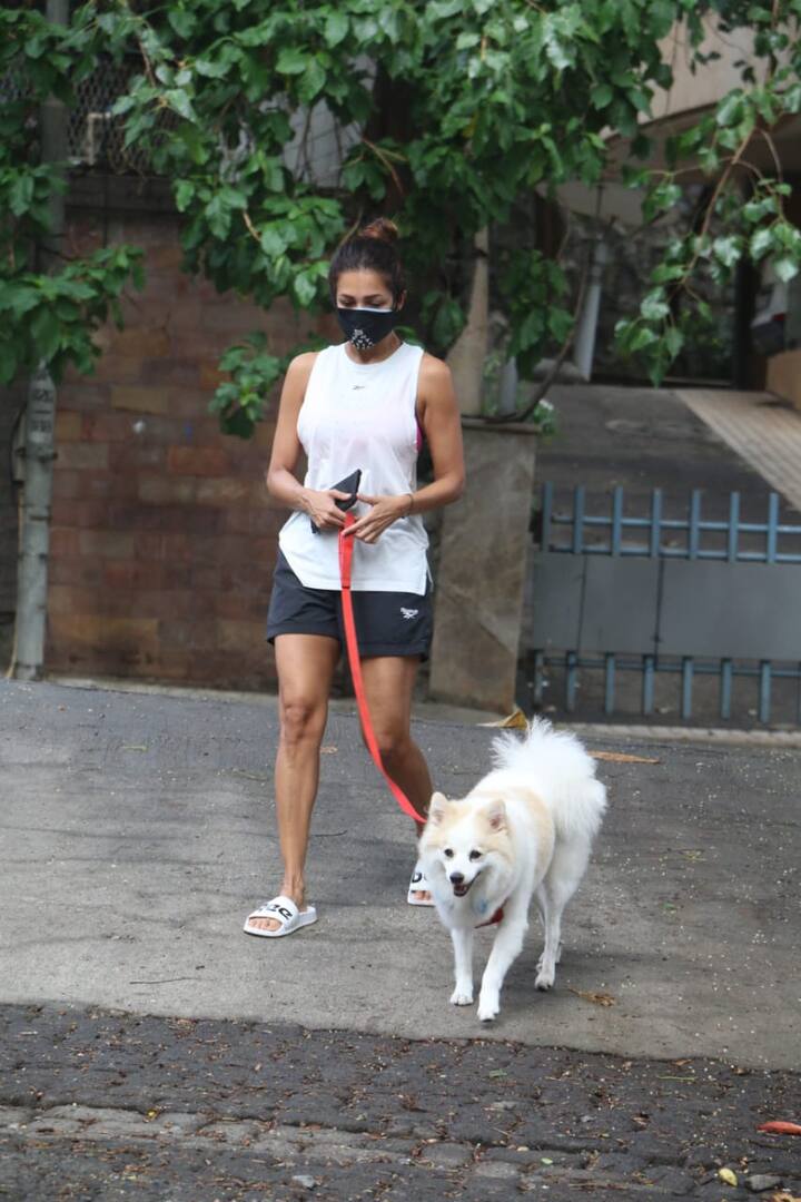 मुंबई में लॉकडाउन के बीच सब कुछ बंद है. बॉलीवुड सितारों के लिए ऐसे में फिट रहना बहुत बड़ा चैलेंज बन गया है. इन दिनों कोई सड़कों पर साइक्लिंग करते दिख जाता है तो कोई वॉक करने निकलता है. आज मुंबई से मलाइका की ऐसी तस्वीरें सामने आई हैं.
