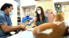 Good News | कैसे Lockdown में Mumbai की बिल्लियों का पेट भर रहे हैं ये बिजनेसमैन