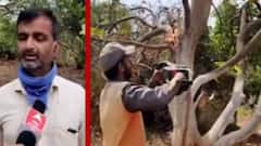 વાવાઝોડાથી થયેલા નુકસાન માટે સહાય પેકેજ અંગે ગીર સોમનાથના ખેડૂતોએ શું આપ્યો પ્રતિસાદ?