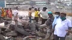 আনন্দ লাইভ: ঘূর্ণিঝড় ইয়াসের জেরে তছনছ দিঘার সমুদ্র সৈকত, ভেঙে পড়েছে সংলগ্ন দোকানপাট