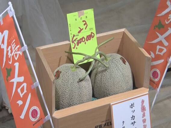 युबारी खरबूजे की जोड़ी की हुई नीलामी, 18 लाख रुपए रखी गई इसकी कीमत युबारी खरबूजे की जोड़ी की हुई नीलामी, 18 लाख रुपए रखी गई इसकी कीमत