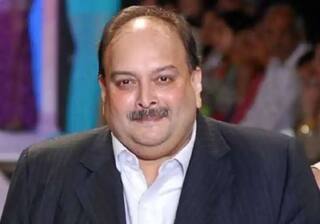 Mehul Choksi Arrest: ભારતને સોંપવાની જગ્યાએ ભાગેડુ મેહુલ ચોક્સીને એન્ટીઆ-બાર્બુડા પરત મોકલશે ડોમિનિકા સરકાર 