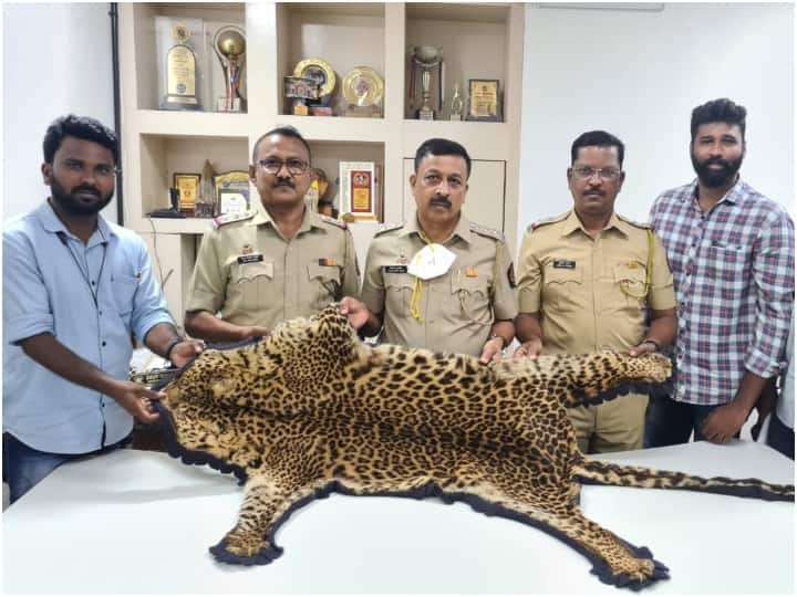 तेंदुए की खाल बेचने के मामले में 61 साल के बुजुर्ग को मुंबई पुलिस ने किया गिरफ्तार