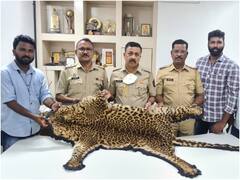 तेंदुए की खाल बेचने के मामले में 61 साल के बुजुर्ग को मुंबई पुलिस ने किया गिरफ्तार