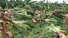 'આટલું વળતર આપો તો તિજોરી ખાલી થઇ જાય, નીતિન ભાઇએ તિજોરીની ચિંતા કરવાની કે નહી કરવાની મને કહો'