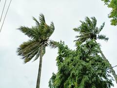 Cyclone Yass: बिहार के कई जिलों में बारिश और आंधी, आज शाम पटना पहुंचेगा चक्रवात ‘यास’; उफान पर गंगा