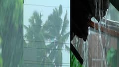 Monsoon Alert : 31 मे रोजी मान्सून केरळमध्ये दाखल होण्याची शक्यता, हवामान विभागाचा अंदाज