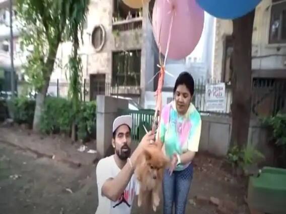 ਕੁੱਤੇ ਨੂੰ ਗੈਸੀ ਗੁਬਾਰਿਆਂ ਨਾਲ ਬੰਨ੍ਹ ਕੇ ਉਡਾਉਣ ਵਾਲਾ ਗ੍ਰਿਫ਼ਤਾਰ ਕੁੱਤੇ ਨੂੰ ਗੈਸੀ ਗੁਬਾਰਿਆਂ ਨਾਲ ਬੰਨ੍ਹ ਕੇ ਉਡਾਉਣ ਵਾਲਾ ਗ੍ਰਿਫ਼ਤਾਰ
