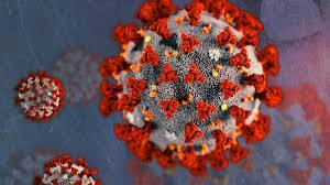 First case of corona corona virus variant B.1.617.2 came in Pakistan पाकिस्तान में सामने आया कोरोना वायरस के B.1.617.2 वेरिएंट का पहला मामला