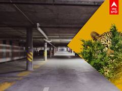 Apartment-இல் சுதந்திரமாக சுற்றித்திரியும் சிறுத்தை