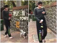 डॉगी को टहलाते समय खुशी कपूर से हुई गलती, सोशल मीडिया पर बन रहा मजाक