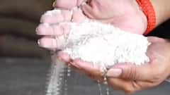 પંચમહાલના શહેરામાં સસ્તા અનાજની દુકાનમાં વેચાતા ચોખા અંગે નવો વળાંક, મામલતદારે શું કહ્યું?