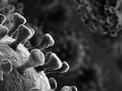 मेरठ में ब्लैक फंगस के 11 नए मामले आए, जानें कितनी हुई मरीजों की कुल संख्या