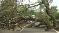 Mehsana: ભારે પવન અને વરસાદથી થયું ભારે નુકસાન, કેટલો ખાબક્યો વરસાદ?,જુઓ વીડિયો