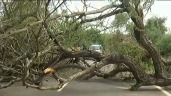 Mehsana: ભારે પવન અને વરસાદથી થયું ભારે નુકસાન, કેટલો ખાબક્યો વરસાદ?,જુઓ વીડિયો