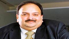 Mehul Choksi : डॉमिनिका कोर्टाची कर्जबुडव्या मेहूल चोकसीच्या प्रत्यार्पणाला स्थगिती