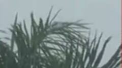 ગુજરાતમાં ચોમાસાના આગમન અંગે હવામાન વિભાગે શું કરી આગાહી?,જુઓ વીડિયો