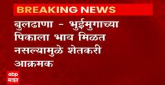 Farmers News : भुईमुगाच्या पिकाला भाव मिळत नसल्यामुळे शेतकरी आक्रमक