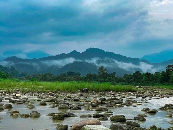 கண்ணுக்கும், மனதுக்கும் இதமான லோகிம்பூர் பகுதி...