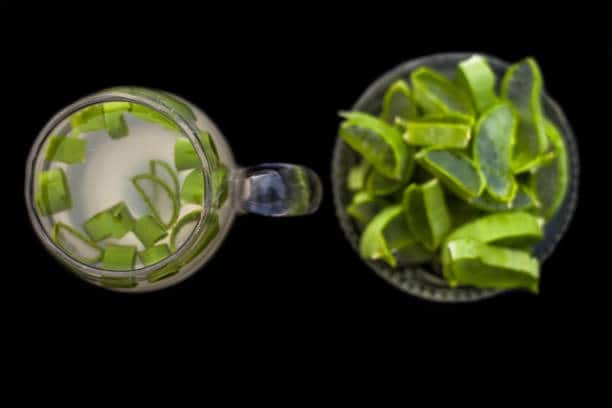 টানা সাতদিন অ্যালোভেরার সরবত পান করলে ধীরে ধীরে দেখা যাবে সমস্যার সমাধান হচ্ছে। কীভাবে পান করবেন অ্যালোভেরার সরবত?