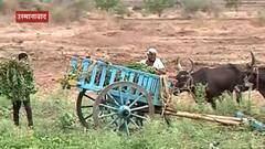 घराला टाळं लावून शेतकरी शेतात मुक्कामी, दीड महिन्यात कोरोनामुळे झालेल्या मृत्यूंचं प्रमाण चिंताजनक