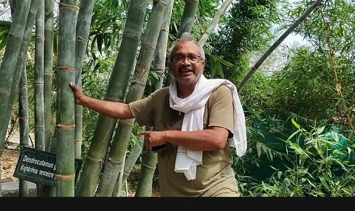 मांगुडा येथे अजय डोळके यांच्या 5 एकर मध्ये 54 प्रकारच्या बांबूचे पीक घेतले असून प्रत्येक जातीचे 50 रोप सुध्दा त्यांनी लागवड केली आहे शिवाय ते बांबू रोप सुध्दा परिसरातील नागरिकांना विक्री करतात त्यातून त्यांना आर्थिक फायदा होतो  शेतकऱ्यांनी धुऱ्यावर बांबु लागवड करावी ज्यामुळे शेतकऱ्याला यातून किमान 3 ते 4 वर्षानंतर त्यांना हमखास उत्पन्न मिळेल असं त्यांचे म्हणणे आहे.