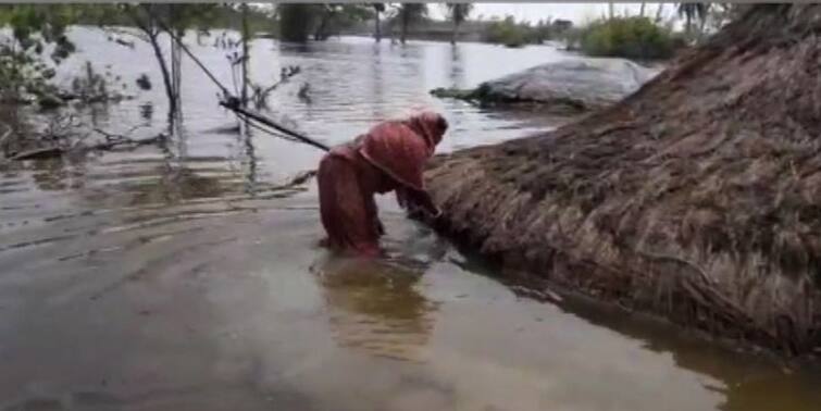 Three days after the Yaas , Mausuni Island in Sundarbans is still submerged ইয়াসের তাণ্ডবের ৩ দিন পার, জলমগ্ন মৌসুনী দ্বীপ, ত্রাণ পৌঁছে দেওয়ার আশ্বাস প্রশাসনের