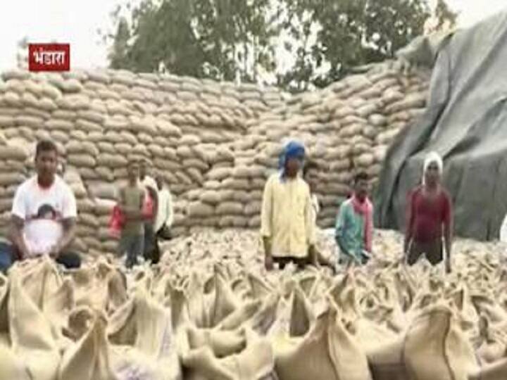 In Gondia district, procurement of rabbi crop was hampered due to non-picking of kharif grains गोंदिया जिल्ह्यात खरीप हंगामाच्या धानाची उचल न झाल्याने रब्बी पिकाची खरेदी अडकली