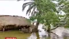 Cyclone Yaas: এখনও জলমগ্ন মৌসুনী দ্বীপ, দ্রুত ত্রাণ পৌঁছে দেওয়ার আশ্বাস প্রশাসনের