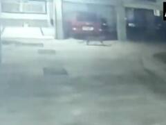 मुंबई की हाउसिंग सोसायटी में घुसा तेंदुआ, लोगों में मचा हड़कंप, देखें वीडियो