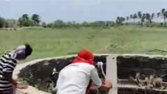 ગીર સોમનાથના ખેડૂતોનું દર્દ