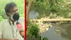 વડોદરાના વિશ્વામિત્રી નદી કિનારે ગંદા પાણીનો નિકાલ, NGTએ આ મામલે શું કર્યો ઓર્ડર?