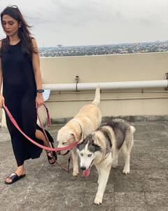 Mimi chakraborty on Social media: বাড়িতে নতুন সদস্য, চিকু জুনিয়রের দৌরাত্ম্য সামলাতে ব্যস্ত মিমি