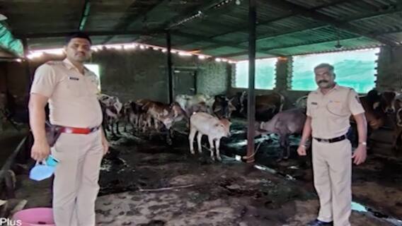 Rural News : गावागावातील बातम्यांचा वेगवान आढावा, तुमच्या गावात आज काय घडलं? माझं गाव माझा जिल्हा