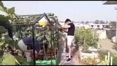 ਲੌਕਡਾਊਨ 'ਚ ਘਰ ਦੀ ਛੱਤ ਦੋ ਸਕੇ ਭਰਾਵਾਂ ਲਈ ਬਣੀ ਕਮਾਈ ਦਾ ਸਹਾਰਾ 