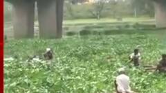 बलरामपुर में मानवता हुई शर्मसार, पुल से नीचे शव फैंकते युवकों का वीडियो वायरल