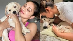 Mimi chakraborty on Social media: বাড়িতে নতুন সদস্য, চিকু জুনিয়রের দৌরাত্ম্য সামলাতে ব্যস্ত মিমি