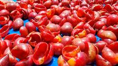 Special Report : कोकणातल्या रानमेव्याला सगल दुसऱ्या वर्षी लॉकडाऊनचा फटका