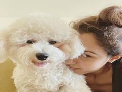 ”கார்குழல் கடவையே என்னை எங்கே இழுக்கிறாய்” - ஆண்ட்ரியா ஸ்னாப்ஸ்