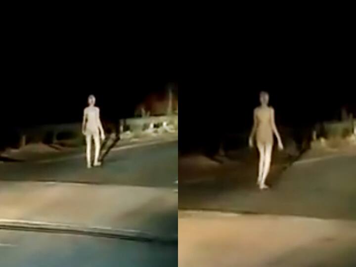 Alien In Jharkhand? This Viral Video Featuring Bizarre Creature Has Netizens Spooked Alien In Jharkhand? This Viral Video Featuring Bizarre Creature Has Netizens Spooked