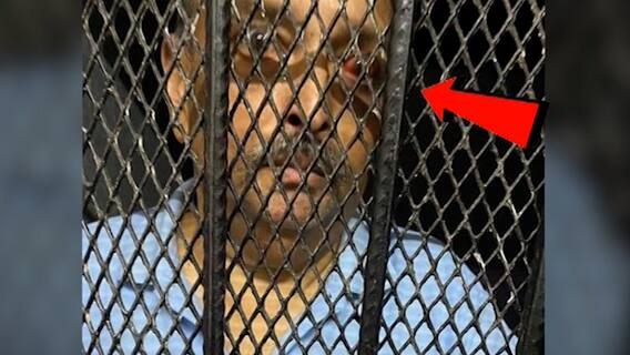 Mehul Choksi : डोमेनिकाच्या तुरुंगातून मेहुल चोक्सीची रुग्णालयात रवानगी