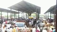 धुळे कृषी उत्पन्न बाजार समितीत खरेदी-विक्रीसाठी मोठी गर्दी, गर्दीमुळे सोशल डिस्टन्सिंगचा फज्जा