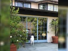 LA ਦੇ ਆਲੀਸ਼ਾਨ Villa 'ਚ ਰਹਿੰਦੀ Mallika Sherawat, ਦੇਖੋ ਅੰਦਰ ਦੀਆਂ ਤਸਵੀਰਾਂ