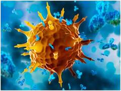 Coronavirus Updates: মে মাসে ভয়ঙ্কর করোনার ঢেউ, কোনও এক মাসে নতুন আক্রান্ত ও মৃতের সংখ্যা সবচেয়ে বেশি ভারতে