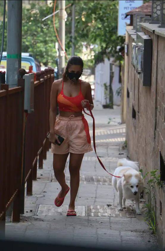 ਕਈ ਵਾਰ ਮਲਾਇਕਾ ਖੁਦ ਜੌਗ ਕਰਦੀ ਦਿਖਾਈ ਦਿੰਦੀ ਹੈ, ਕਈ ਵਾਰ ਉਹ ਆਪਣੇ ਪੈੱਟ ਡੋਗ ਕੈਸਪਰ ਨੂੰ ਵਾਕ ਲਈ ਲੈ ਜਾਂਦੀ ਹੈ। 