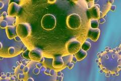 COVID Update: 'করোনার চিকিৎসায় অতিরিক্ত বিল, দুর্ব্যবহার' , শিলিগুড়ির ৭ হাসপাতালকে শো-কজ