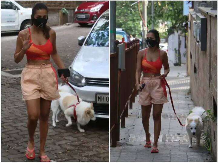 ਤਾਲਾਬੰਦੀ ਵਿੱਚ ਅਦਾਕਾਰਾ ਮਲਾਇਕਾ ਅਰੋੜਾ ਹਰ ਰੋਜ਼ ਵਾਕ ਲਈ ਘਰ ਤੋਂ ਬਾਹਰ ਨਿਕਲਦੀ ਹੈ।