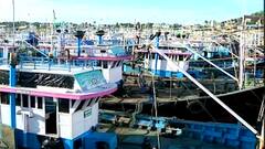 Ratnagiri : मत्स्यप्रेमींसाठी महत्त्वाची बातमी ; पुढचे 3 महिने ताजे मासे बाजारात येणार नाही कारण...