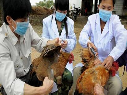 China reports human getting infected with H10N3 bird flu first time in the world சீனாவில் மனிதனுக்கு பறவைக் காய்ச்சல் - அச்சத்தில் மக்கள்