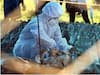 H10N3 Bird Flu: चीनमध्ये H10N3 बर्ड फ्लूची एका व्यक्तीला लागण, जगभरातील पहिलच प्रकरण